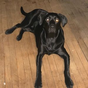 Meet your Posher, Gene